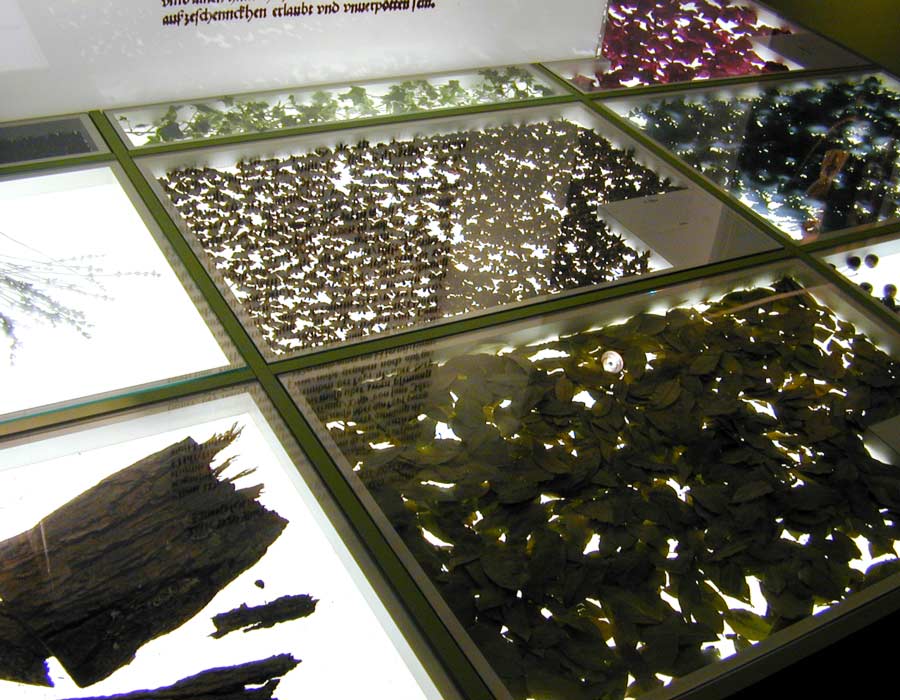 Ausstellungsgestaltung Deutsches Hopfenmuseum Wolnzach