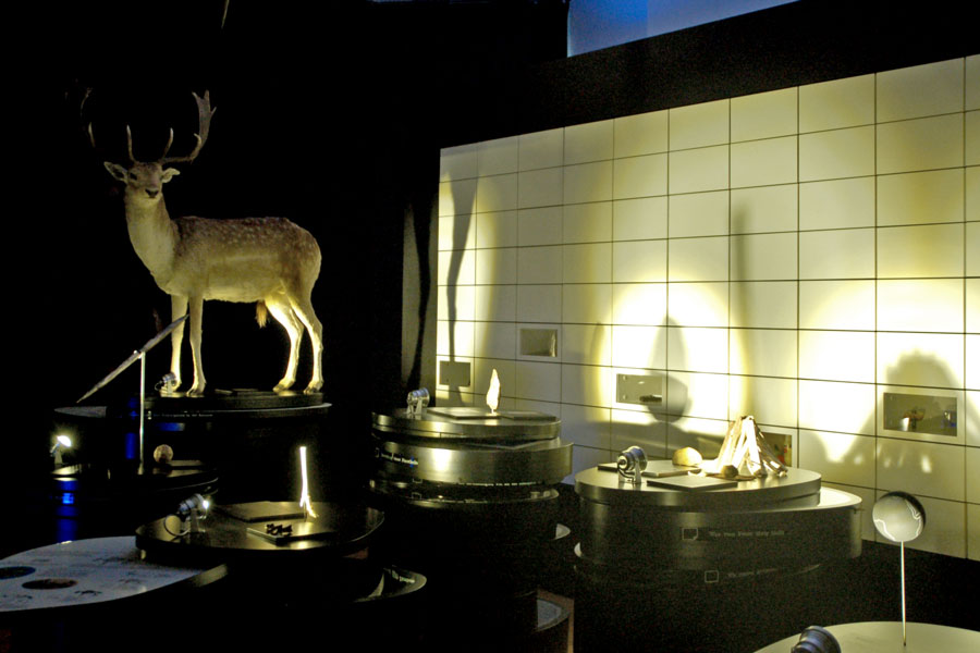 Ausstellungsgestaltung Monrepos