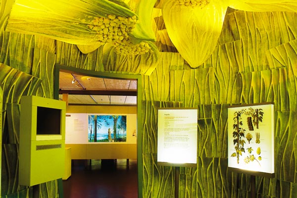 Ausstellungsgestaltung Hopfenmuseum